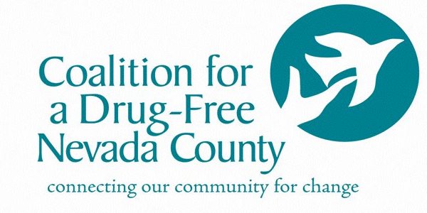 logo-dfc_