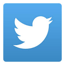 twitter bird